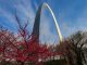 The Gateway Arch through red leafed trees
