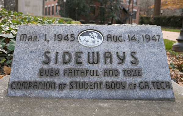 Sideways the Dog's Headstone