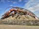 The World's Largest Lobster