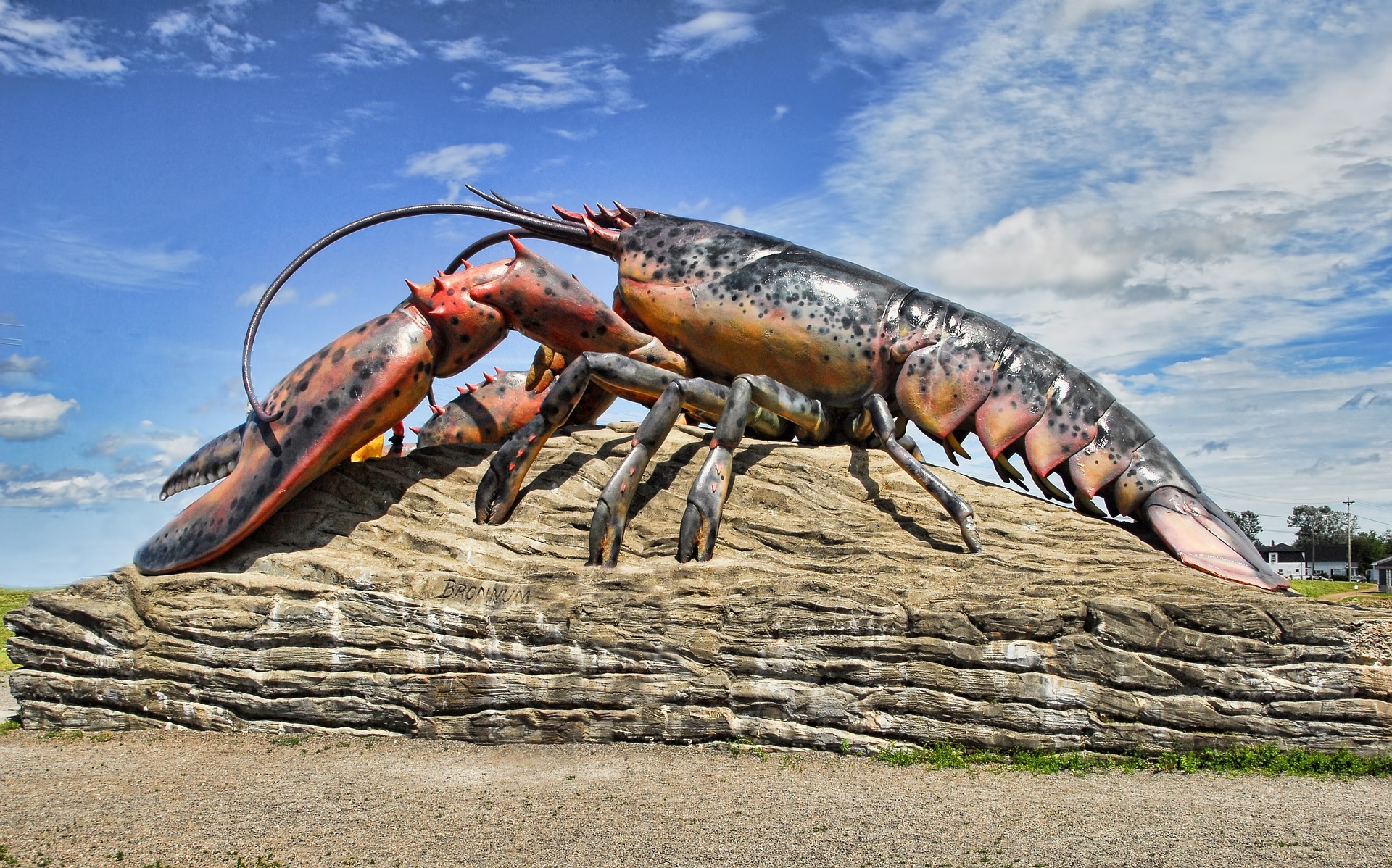 lobster-shediac