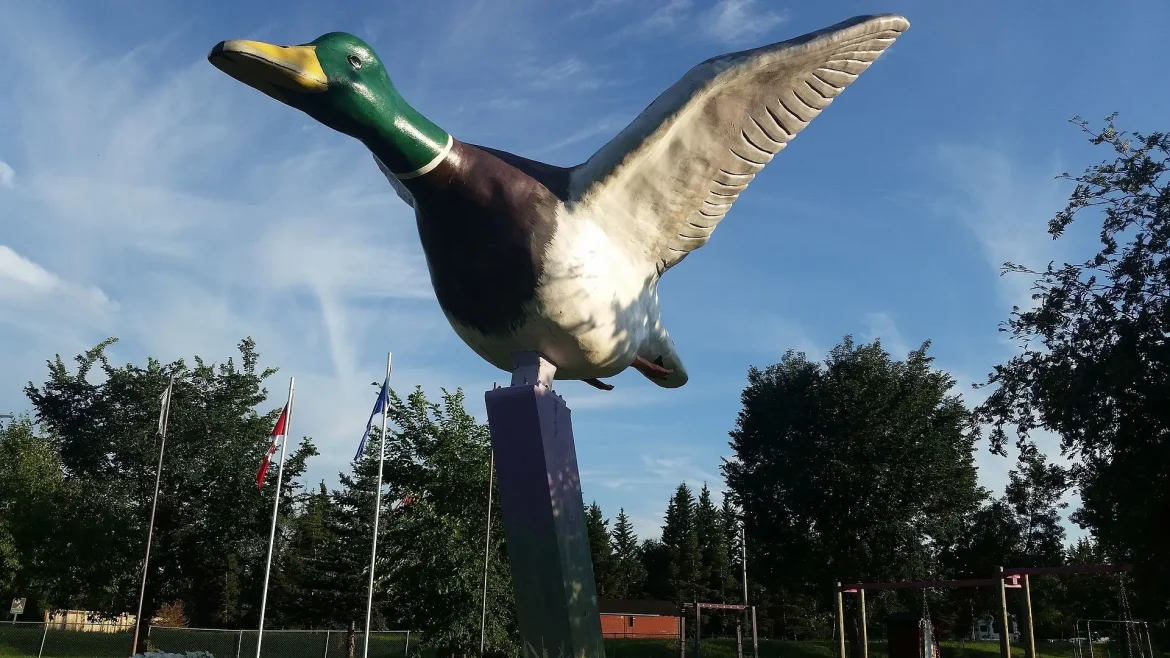 World’s Largest Mallard (Andrew, Alberta)